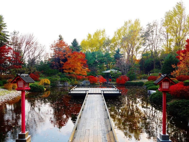 🏞️ 유리가하라 공원 이미지 8